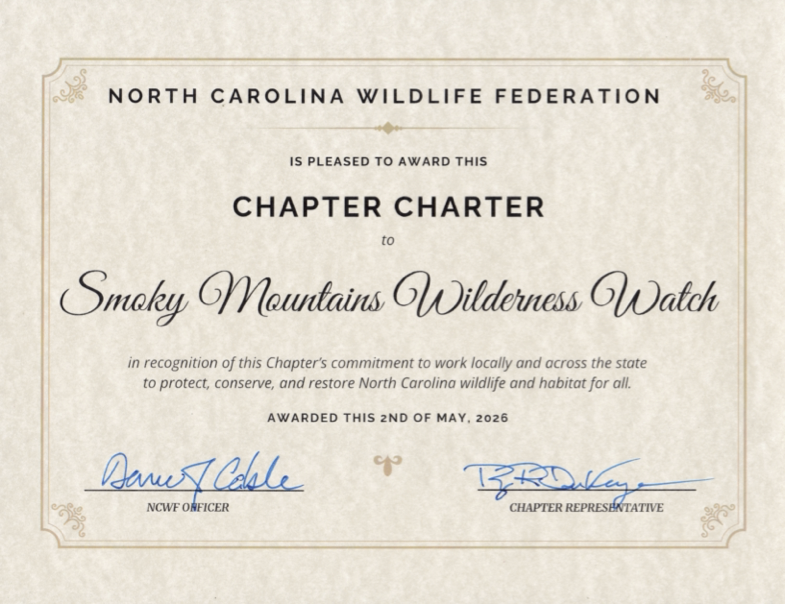 chapter charter document
